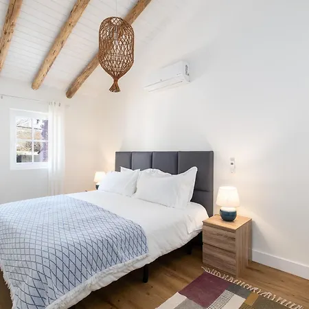 Descanso Palmeiras - Host & Chill