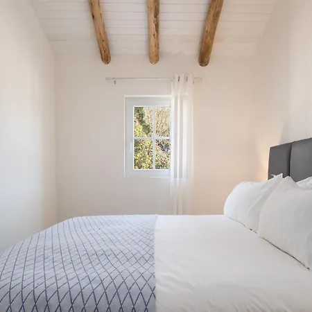 Descanso Palmeiras - Host & Chill *