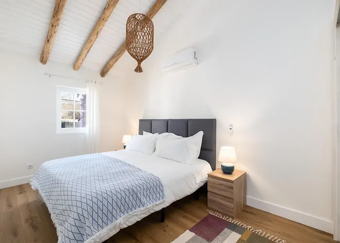 Descanso Palmeiras - Host & Chill