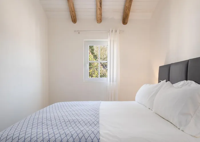 Descanso Palmeiras - Host & Chill *