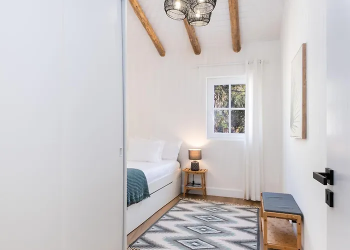 Descanso Palmeiras - Host & Chill Holiday home *